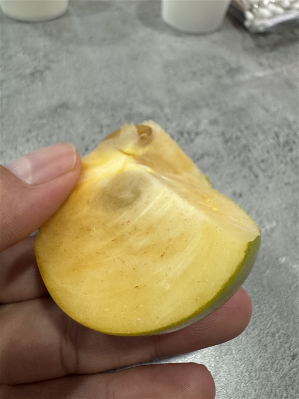 KakaoTalk_20250923_200638049_01.jpg