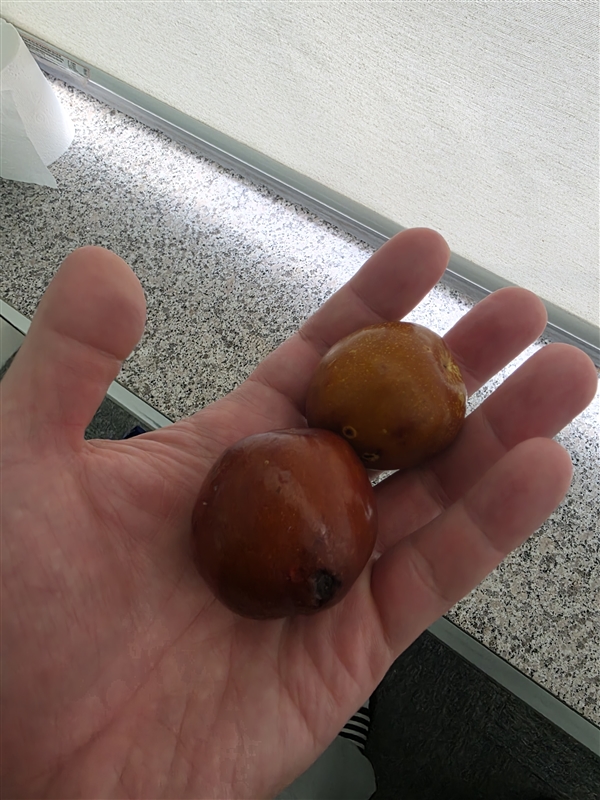 KakaoTalk_20251015_144439398_01.jpg