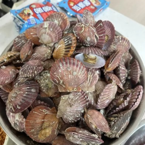 화면캡처20250926102923.jpg